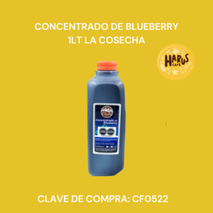 Concentrado de Blueberry 1L La Cosecha
