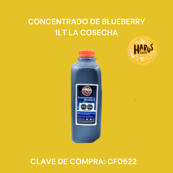 Concentrado de Blueberry 1L La Cosecha
