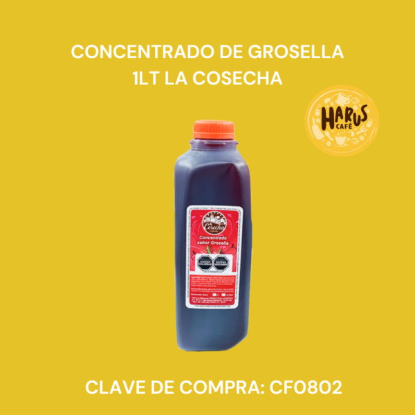 Concentrado de Grosella 1L La Cosecha