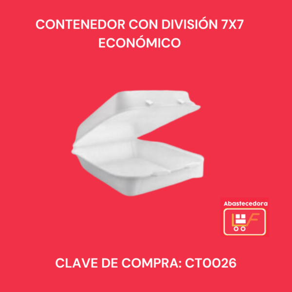 Contenedor con División 7x7 Económico