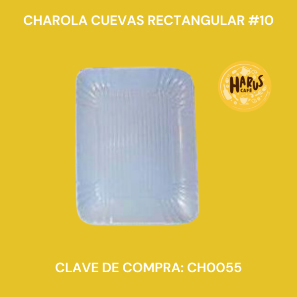 Charola Cuevas Rectangular #10