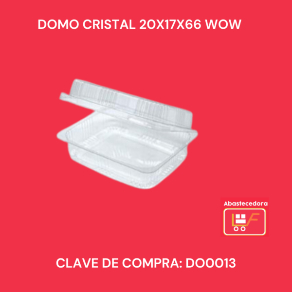 Domo Cristal 20x17x66 WOW