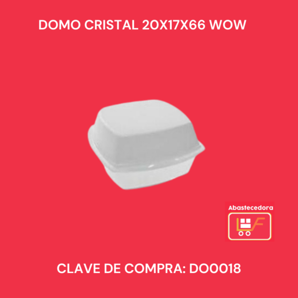 Domo Cristal 20x17x66 WOW
